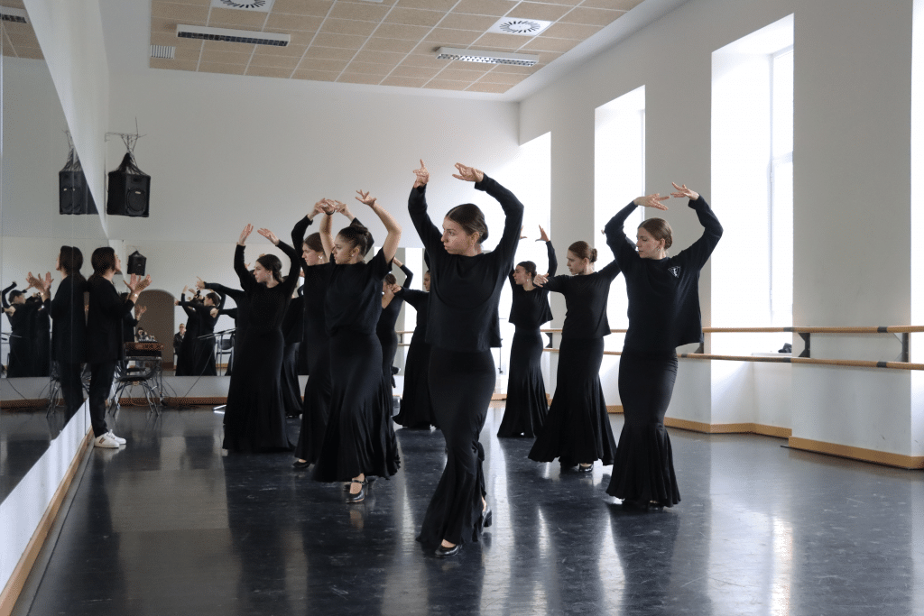 Real Conservatorio Profesional De Danza Mariemma Madrid14 | Professional Sprung & Vinyl Dance Floors | Harlequin Floors