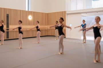 De Moyencourt Ballet Web