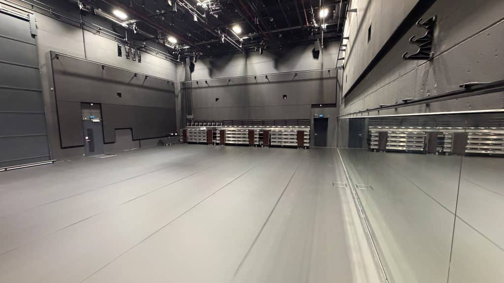 Nederlands Dans Theater Liberty and Reversible 1